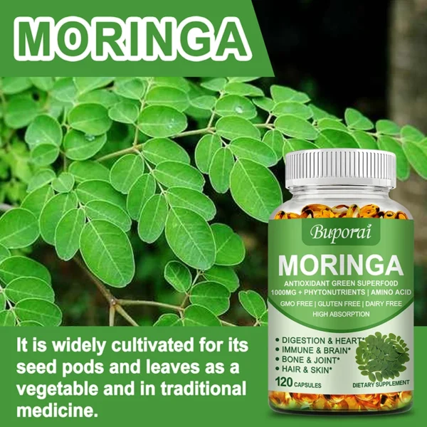 Moringa - Immune System, Energy & Metabolism Natural Anti-inflammatory Helps Detox, Fat Burn - Image 5